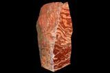 Massive, 15.8" Polished Snakeskin Jasper Section - Western Australia - #130401-1